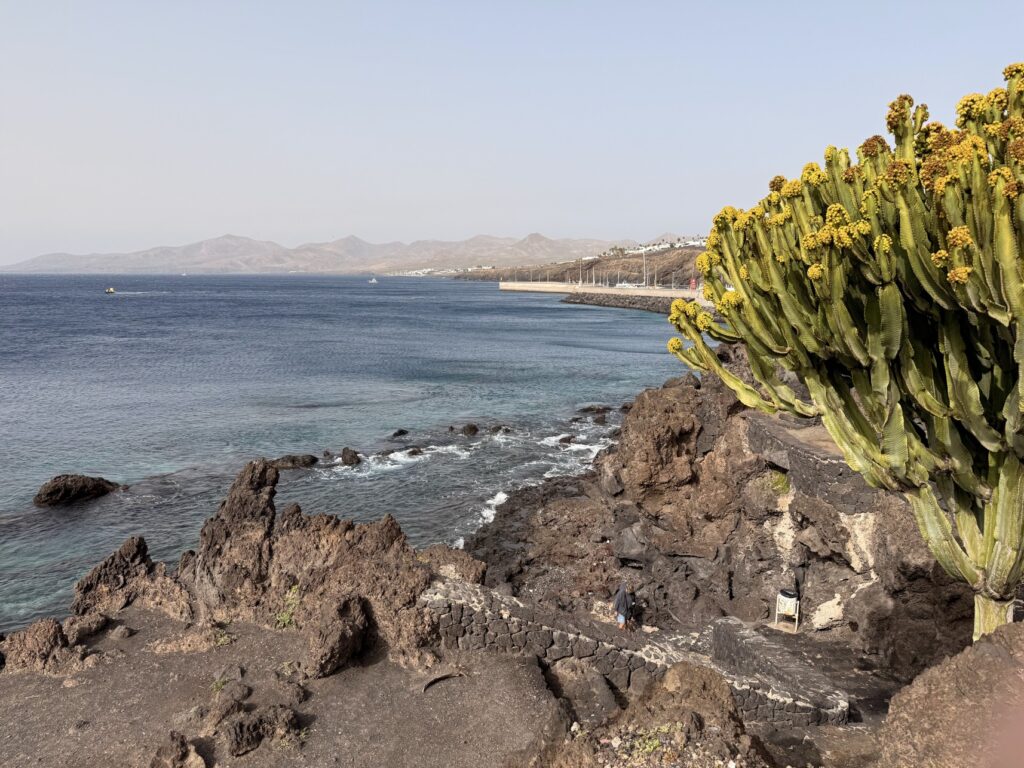 Puerto del Carmen Lanzarote