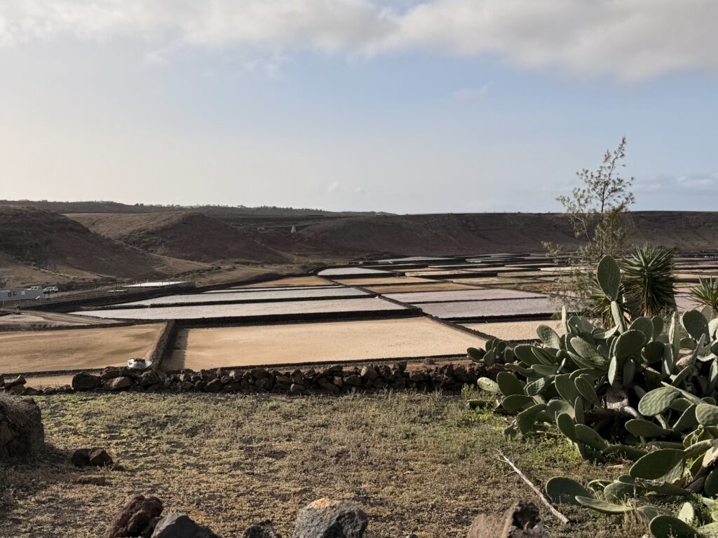Mirador de las salinas Lanzarote